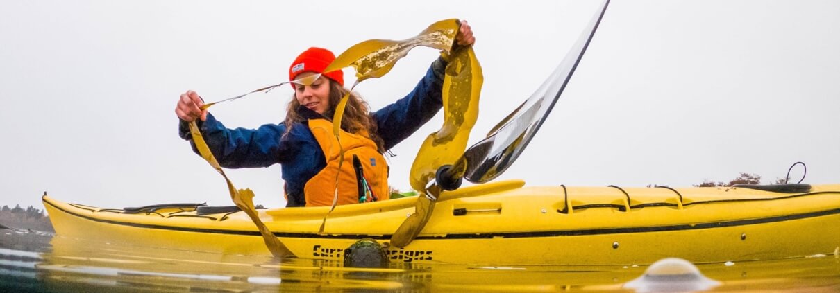 Maria Catanzaro is researching nearshore salmon habitat
