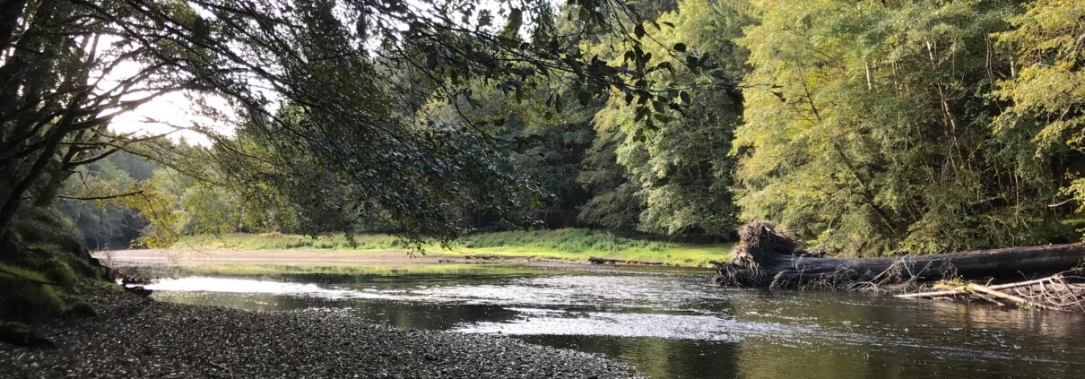 Comprehensive Salmon Data for Haida Gwaii Set to Strengthen Recovery