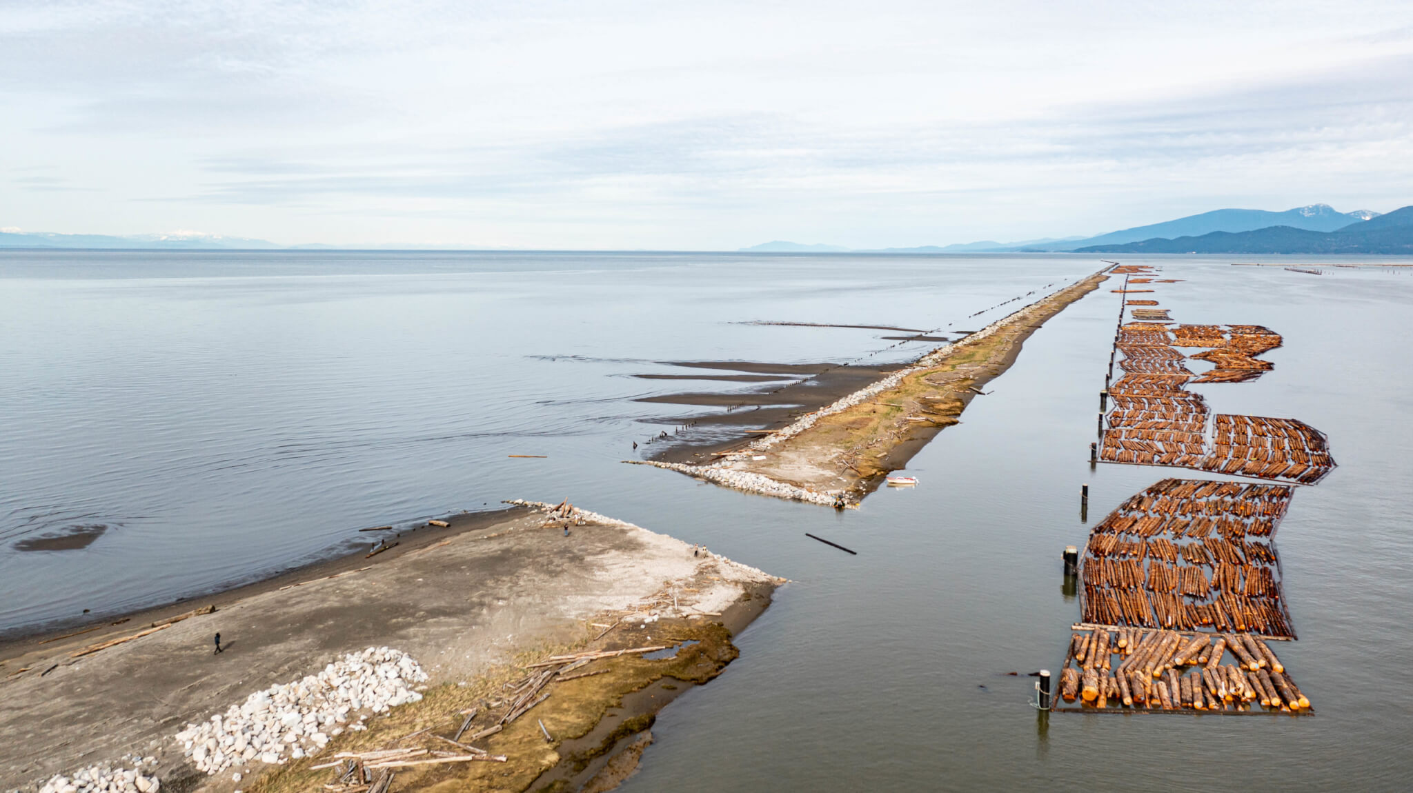 Game Changer Immediate success for salmon habitat restoration in the