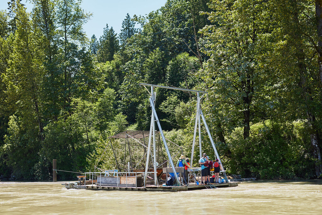 A fish wheel operated by Matsqui First Nation. 