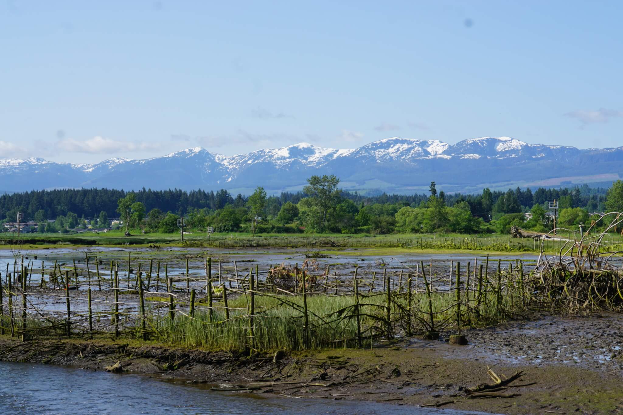 Traditional knowledge leads to innovative habitat solution | Pacific ...