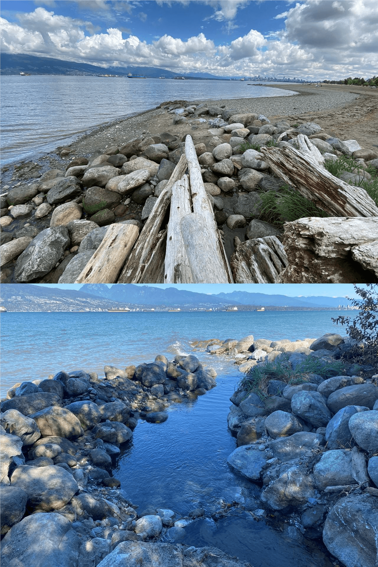 When Disaster Strikes, PSF steps up | Pacific Salmon Foundation