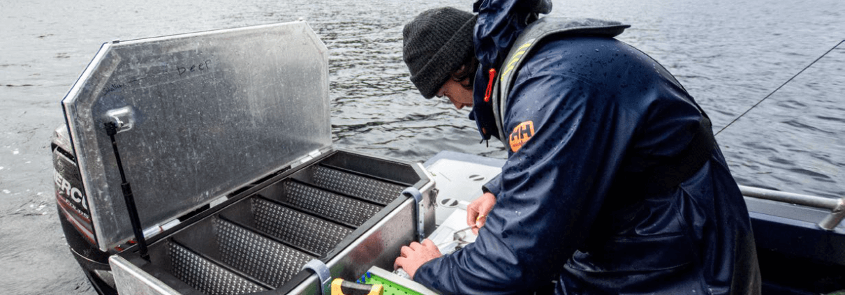 First-of-its-kind winter ecology study provides important clues to salmon  mystery