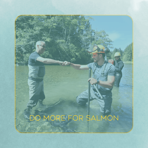Donate ($75-$250) - Image 3