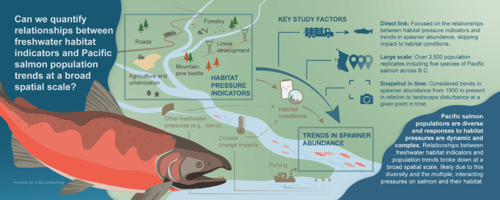 New research assesses B.C. salmon vulnerability to habitat pressures ...