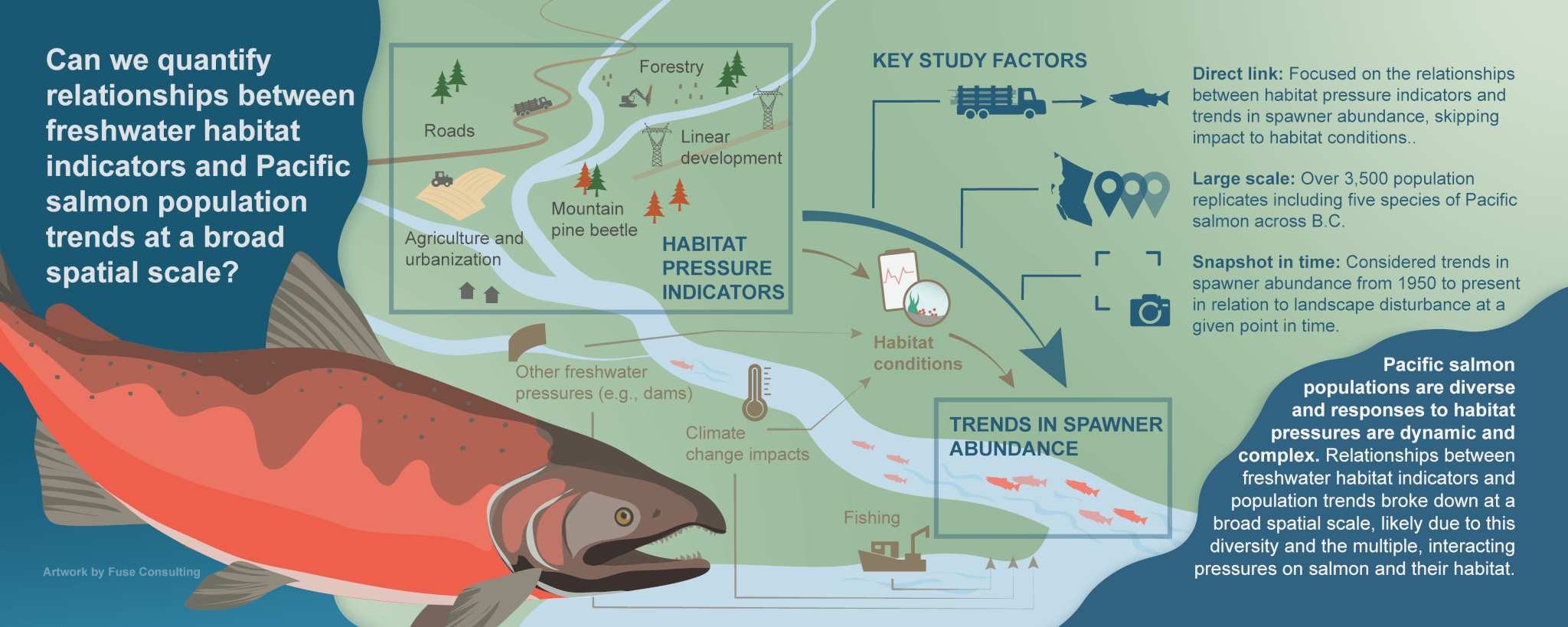 New research assesses B.C. salmon vulnerability to habitat pressures
