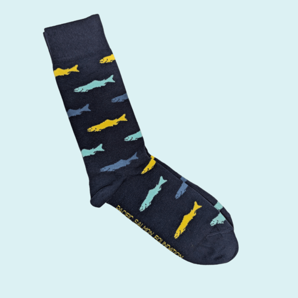 dark blue socks with yellow and blue salmon