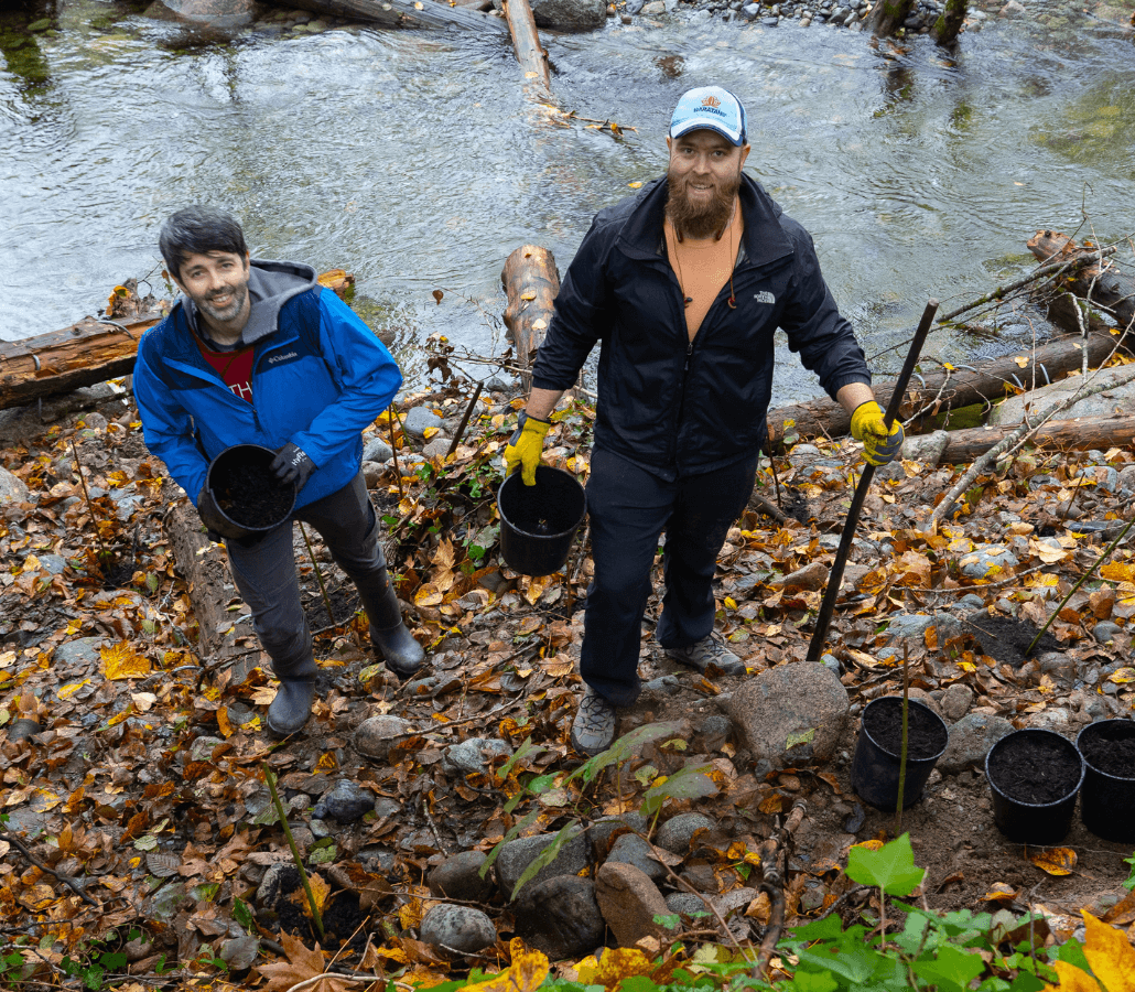 Two volunteers plant willow and dogwood on a stream's shoreline.