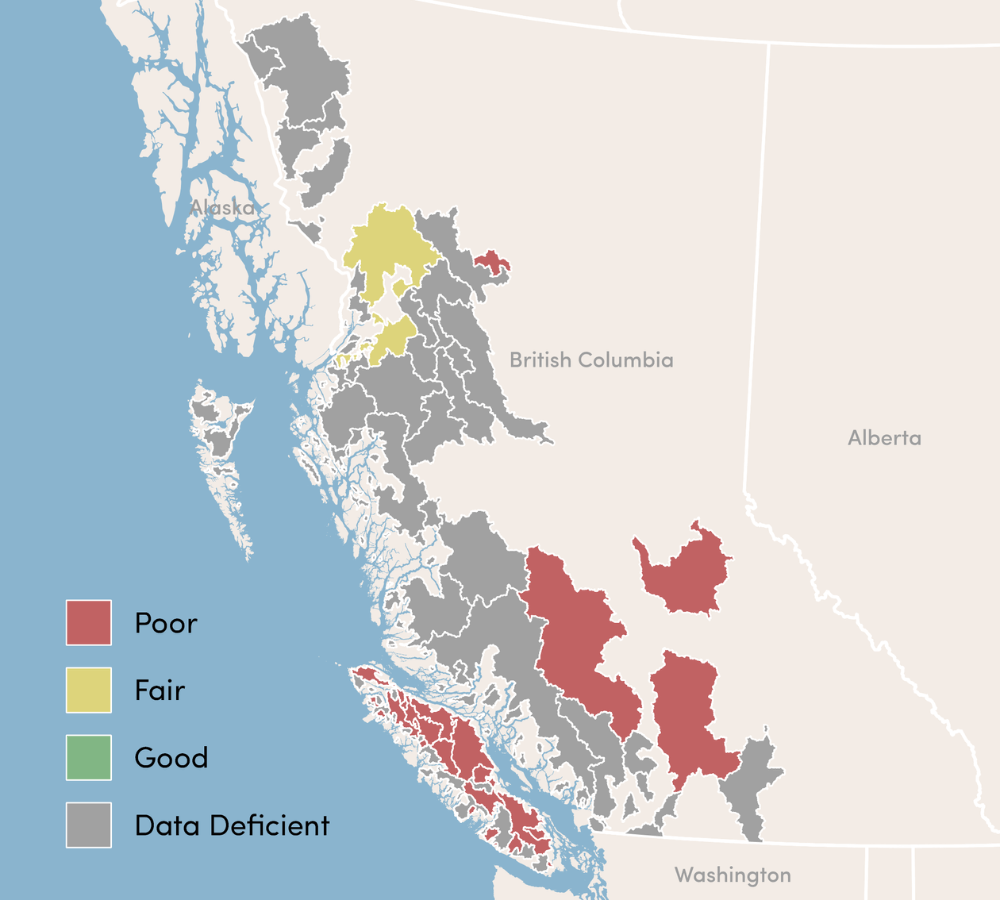 A map of steelhead populations in British Columbia