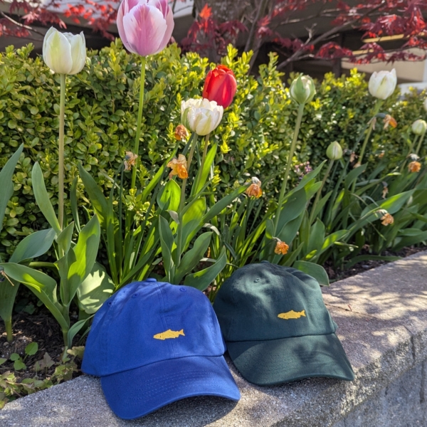 Yellow Fish Ball Cap