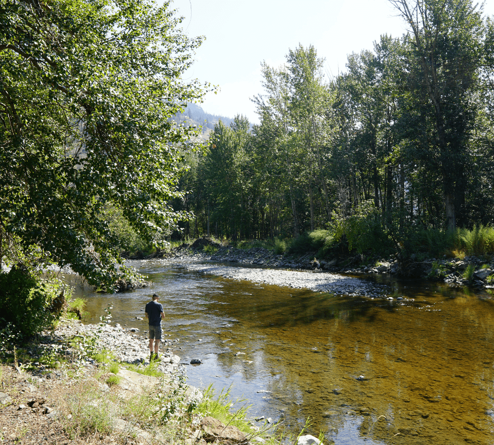 The Deadman River – a tributary of the Thompson River – where drones are helping map thermal refuges.