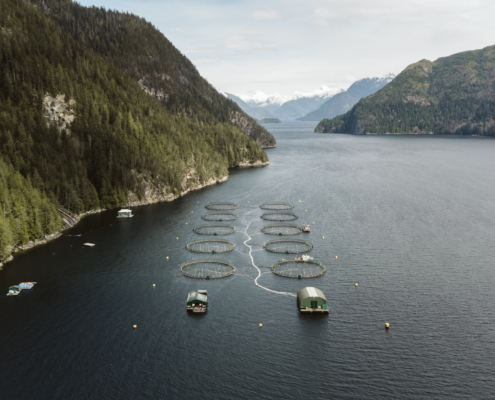 An aerial view of ppen-net pen salmon farms in the Broughton Archipelago in 2022. Photo by Brandon Deepwell.