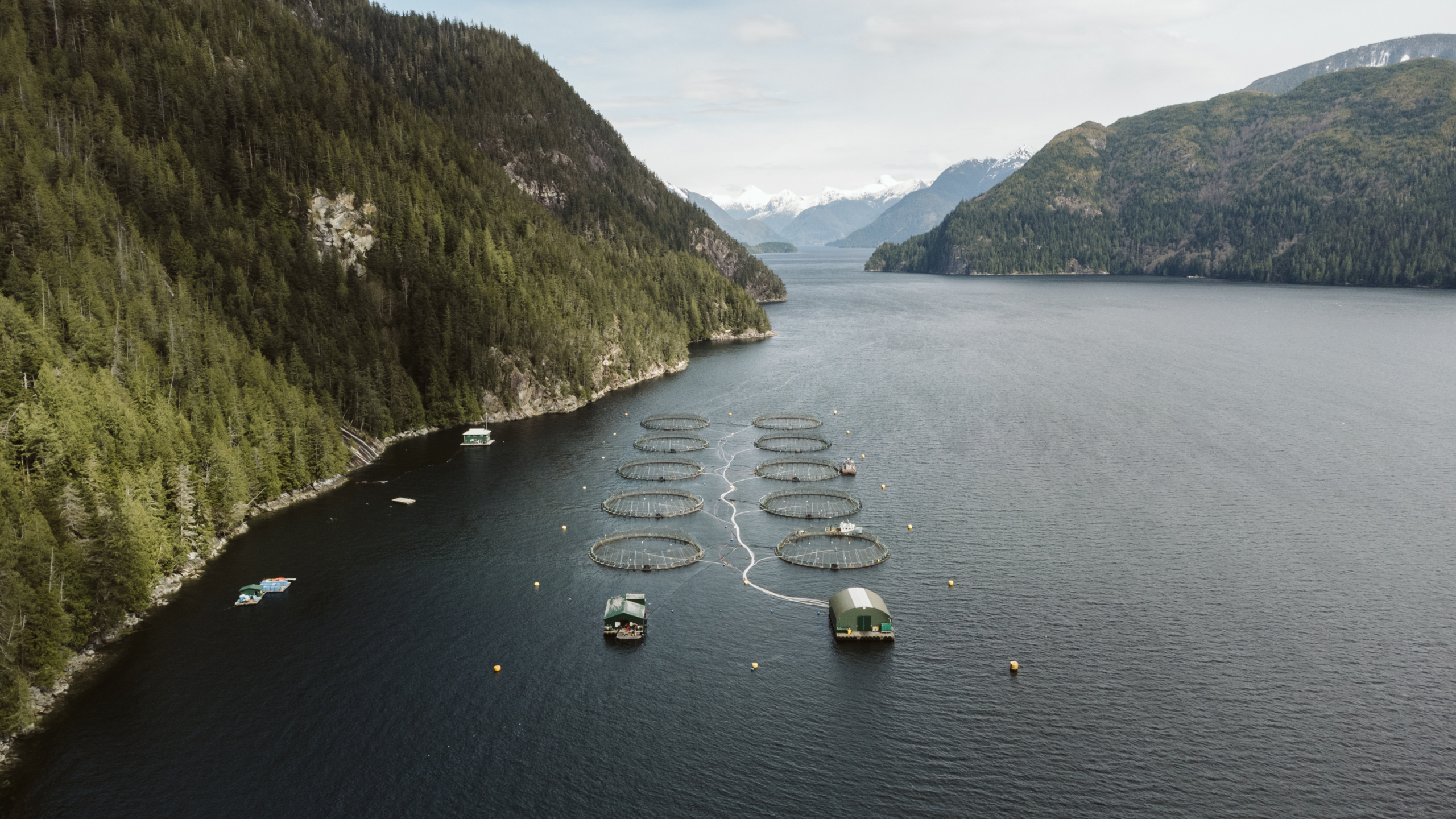 An aerial view of ppen-net pen salmon farms in the Broughton Archipelago in 2022. Photo by Brandon Deepwell.