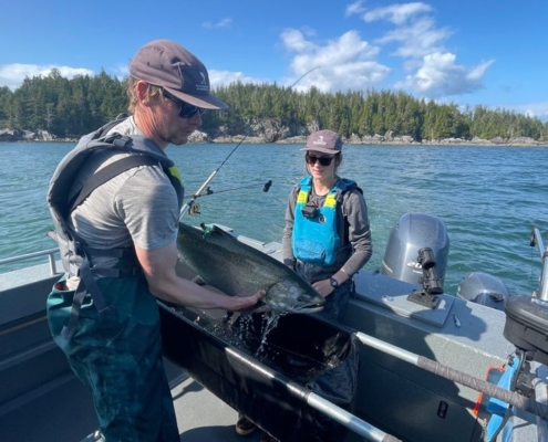 Tagging salmon for catch and release study in British Columbia