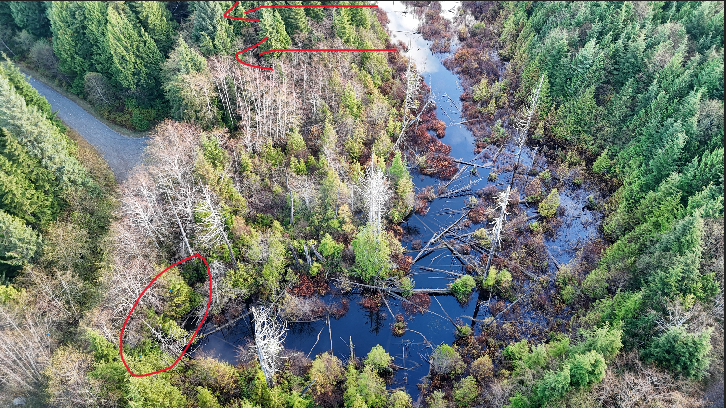 A drone image of Salmon Creek near Ucluelet, showing road flooding from the atmospheric river in B.C. in November 2024. 