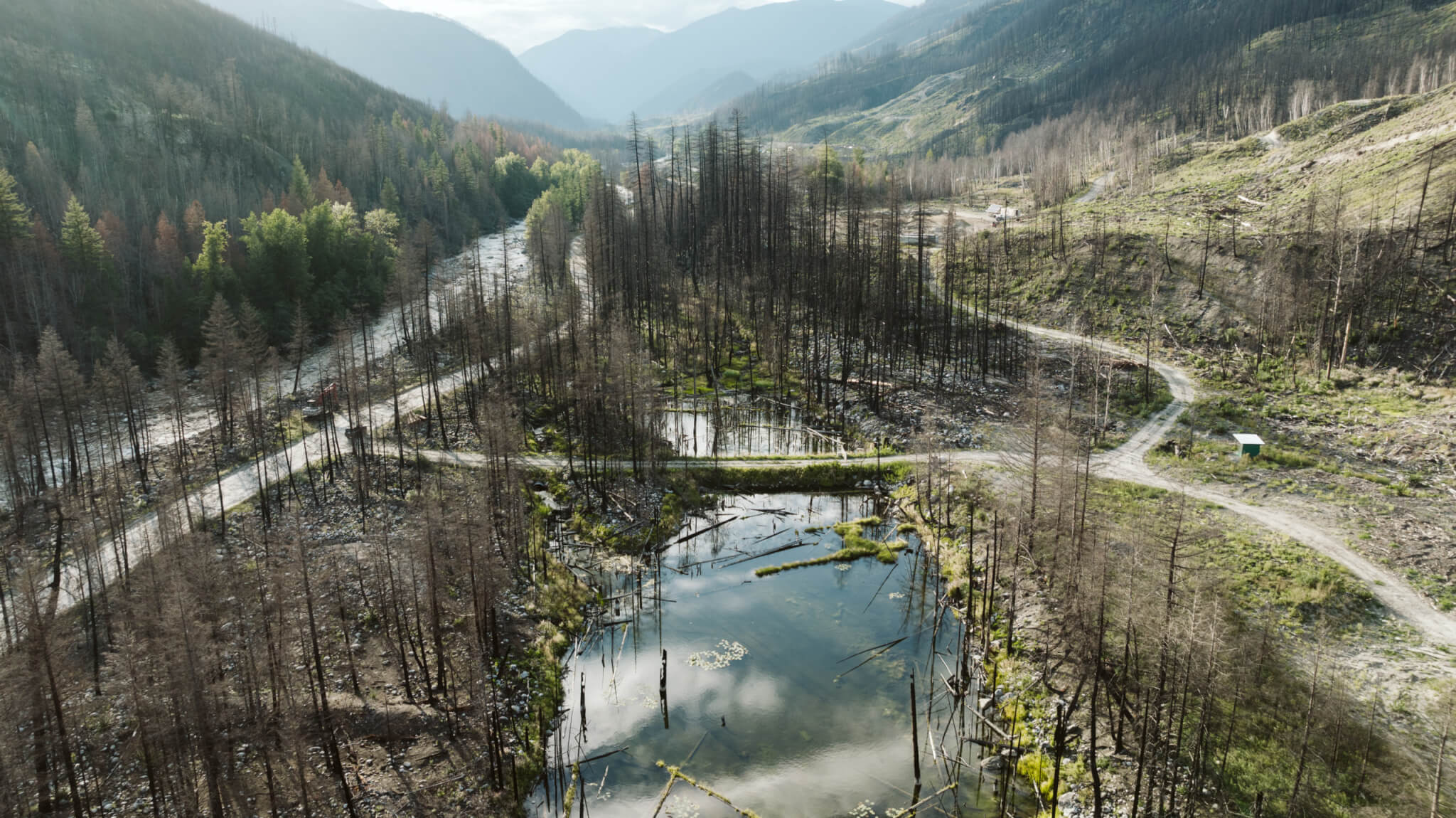 Nahatlatch wildfire restoration, September 2024