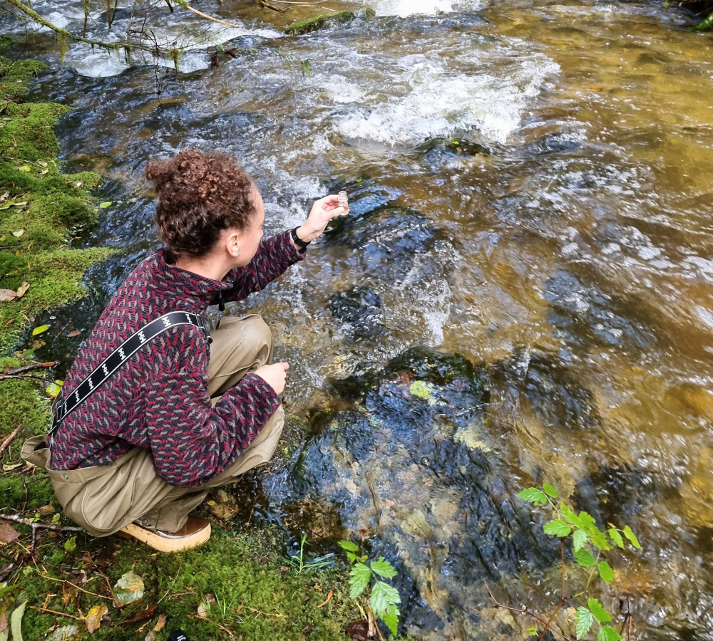 A volunteer collects water samples in the Lang Creek watershed. (Photo: Powell River Salmon Society)