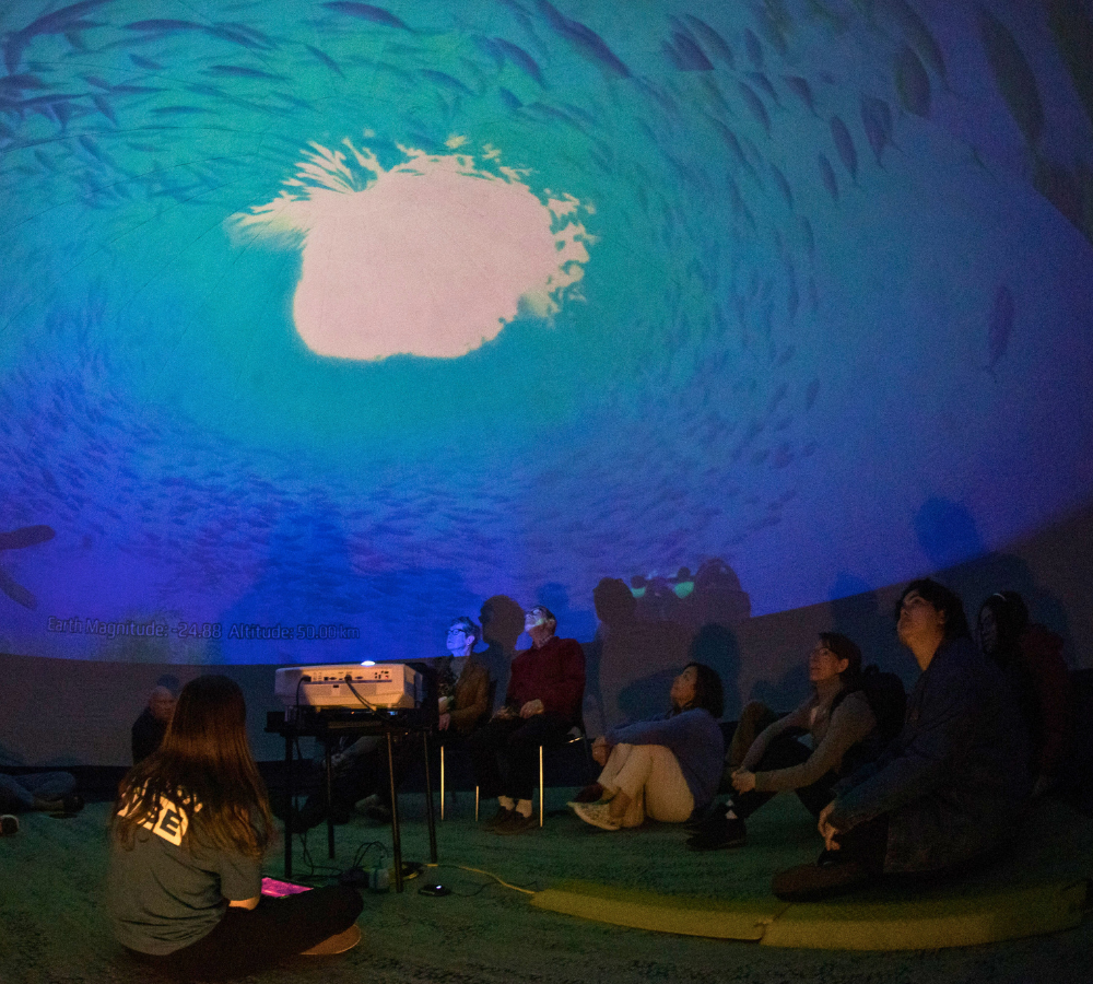 Participants gather to watch cinematographic footage in the Sea Dome. (Photo credit: Ocean Wise)