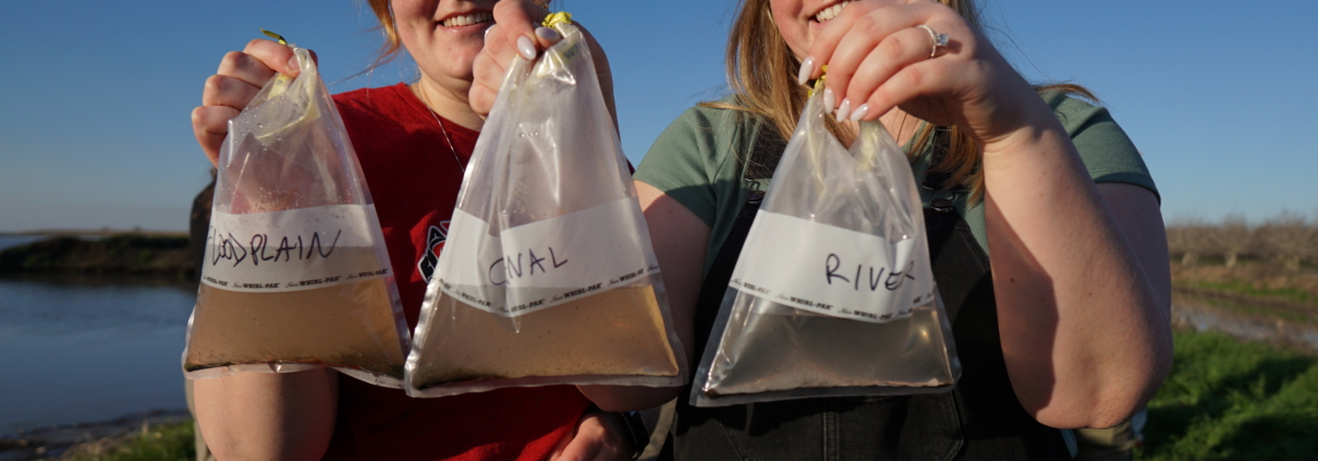 Researchers hold water sample bags from the river, canal, and floodplain, demonstrating the productivity of invertebrates in the floodplain.