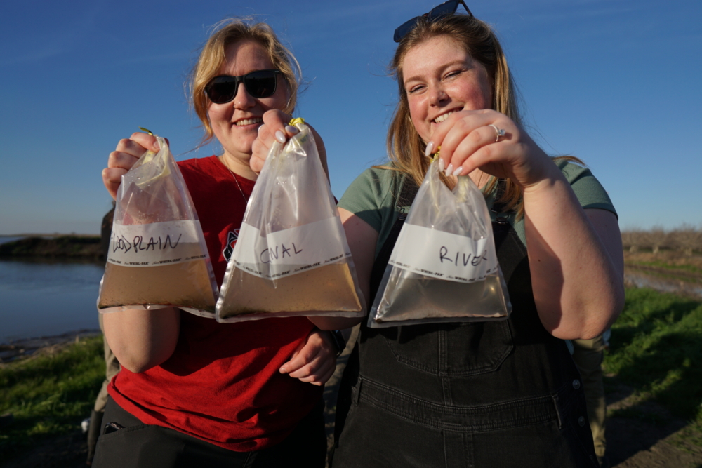 Researchers hold water sample bags from the river, canal, and floodplain, demonstrating the productivity of invertebrates in the floodplain.