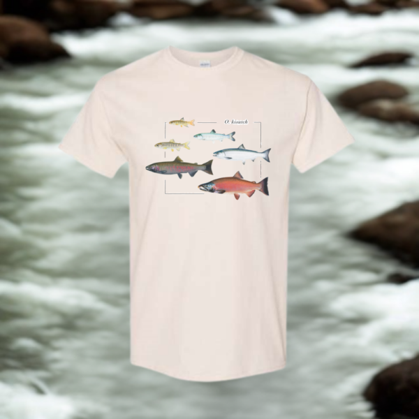O. kisutch Salmon Lifecycle Tee - Image 4