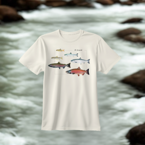 O. kisutch Salmon Lifecycle Tee