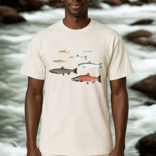 O. kisutch Salmon Lifecycle Tee - Image 3