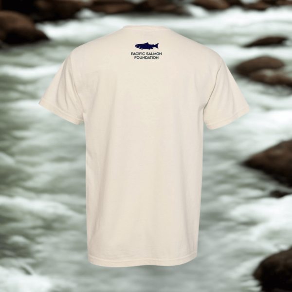 O. kisutch Salmon Lifecycle Tee - Image 4