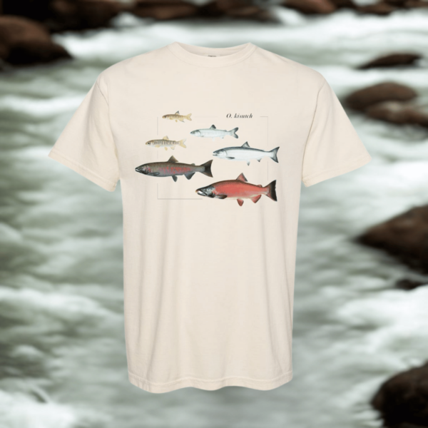 O. kisutch Salmon Lifecycle Tee