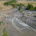 Drought conditions dried up a salmon-bearing river near Kamloops, B.C., leaving narrow channels and dried up habitat.