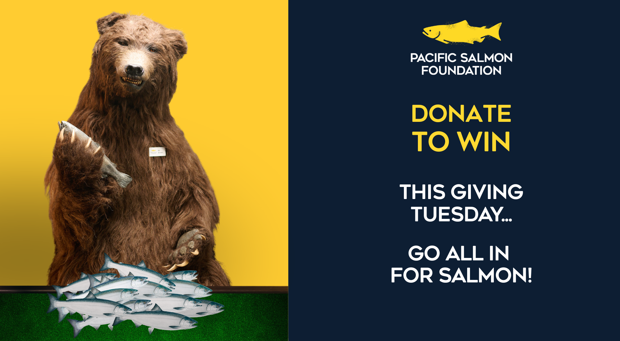 Giving Tuesday - Website Banner - 1 - 2025