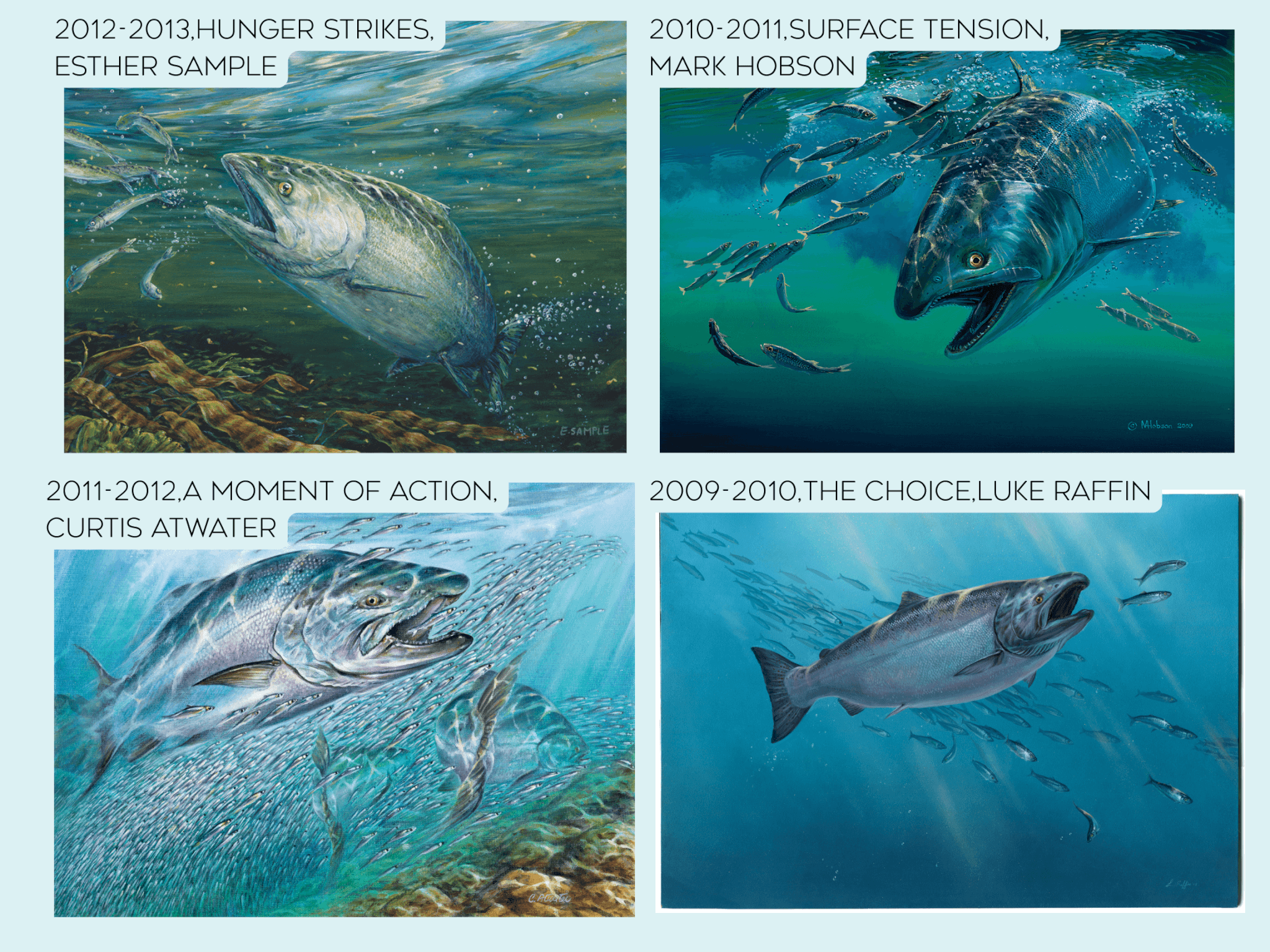 Salmon Conservation Stamp - Image 6