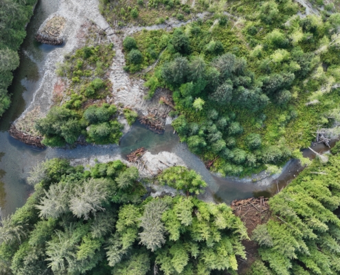 Redd Fish Restoration Society/Tom Balfour