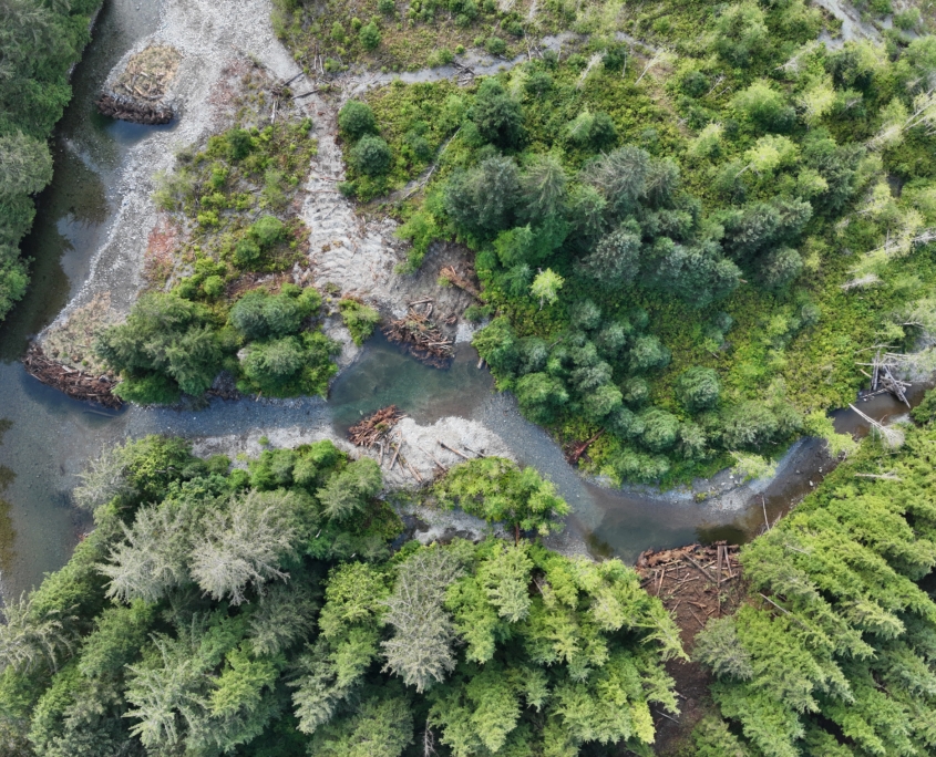 Redd Fish Restoration Society/Tom Balfour