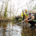 A group of researchers samples the Chase River for contaminants near a bridge. Photo: Vancouver Island University