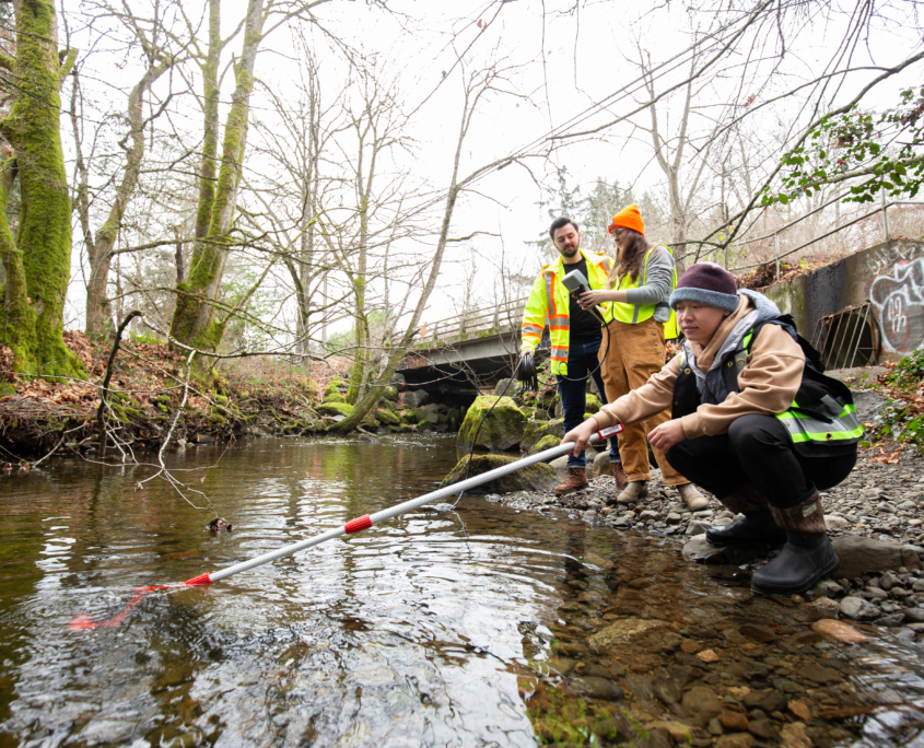 A group of researchers samples the Chase River for contaminants near a bridge. Photo: Vancouver Island University