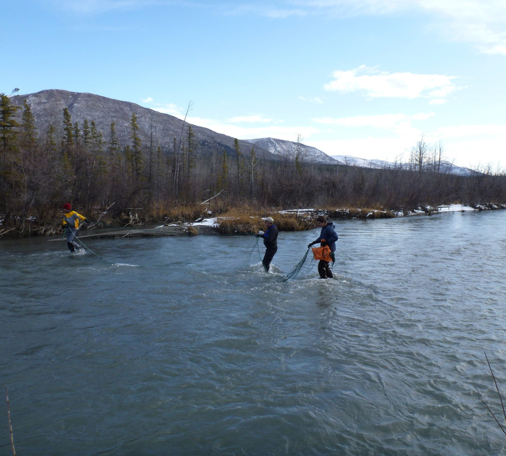 Untitled design (68)