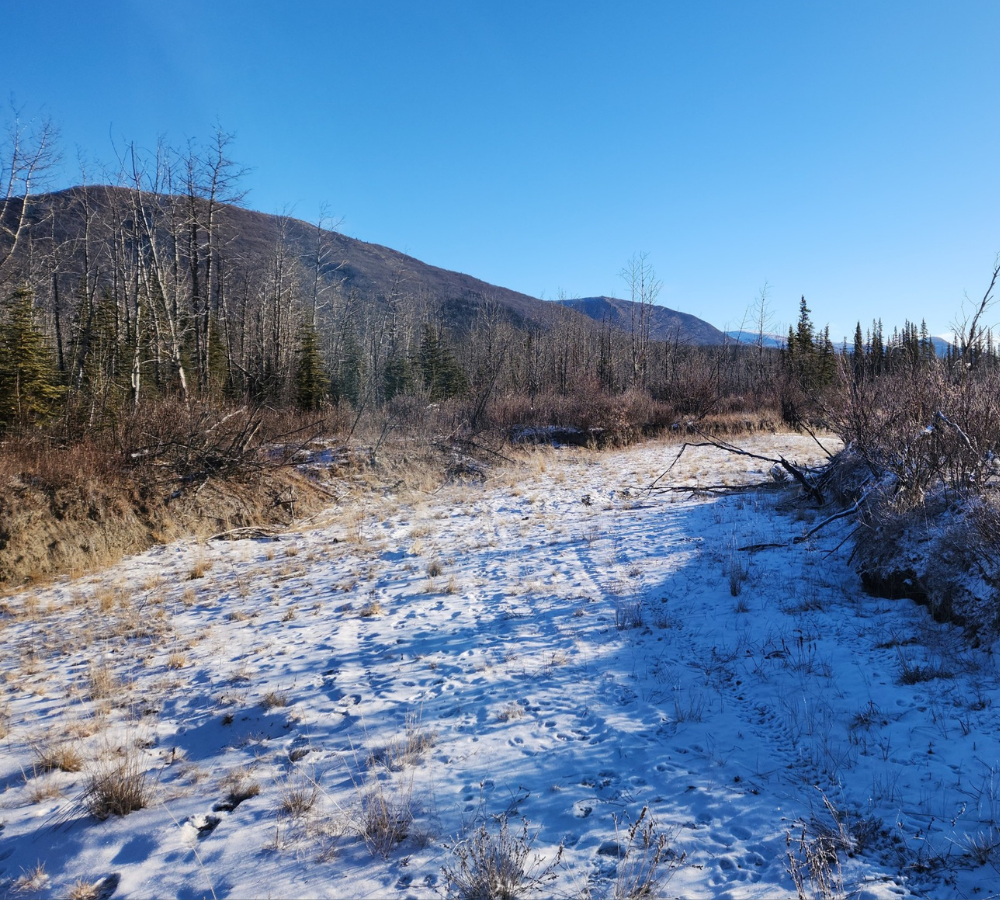 Untitled design (71)