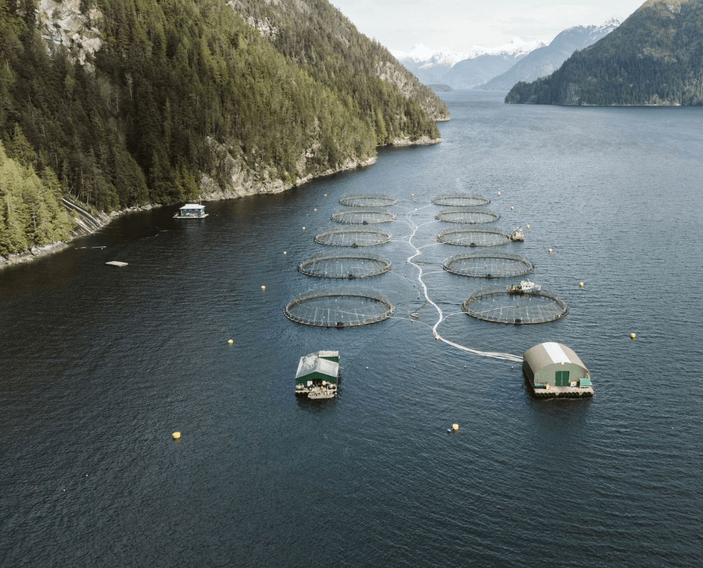 Broughton - Salmon Farms - 990 x 800