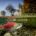 A red sockeye salmon underwater